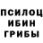 Псилоцибиновые грибы Magic Shrooms Douche Baggerry