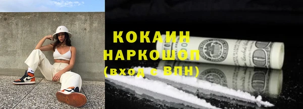 СК Алексин