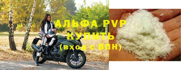 СК Алексин