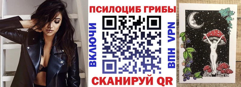цены   Заволжск  гидра рабочий сайт  Галлюциногенные грибы Psilocybe 